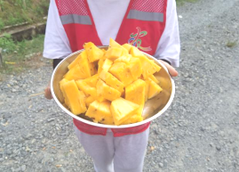 鶴山市農(nóng)業(yè)農(nóng)村局組織到雙合鎮(zhèn)光伏農(nóng)光互補(bǔ)科普基地開展產(chǎn)業(yè)研學(xué)及消費助農(nóng)活動746.png